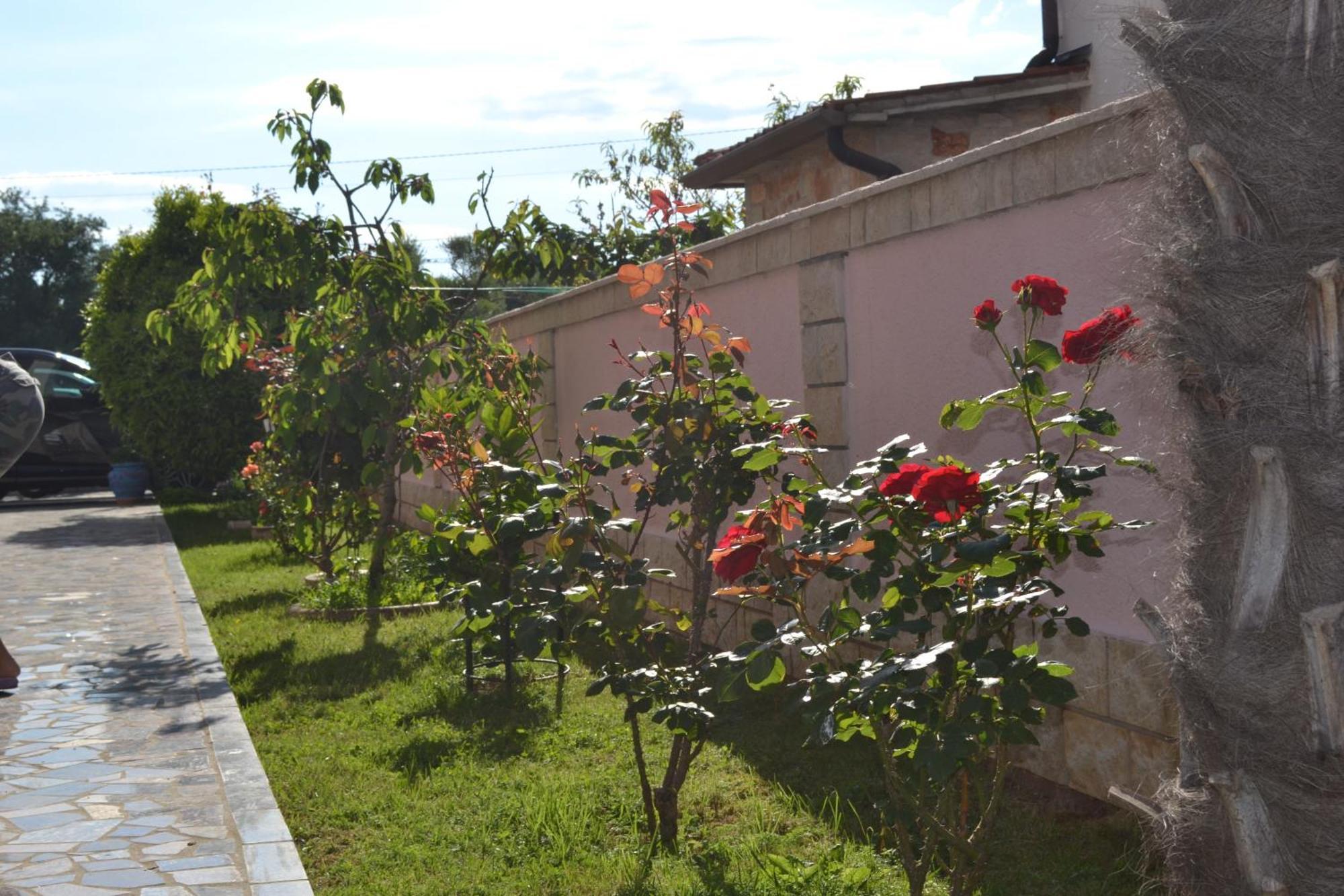 Villa Baldi -Apartmani Danny Тар Экстерьер фото
