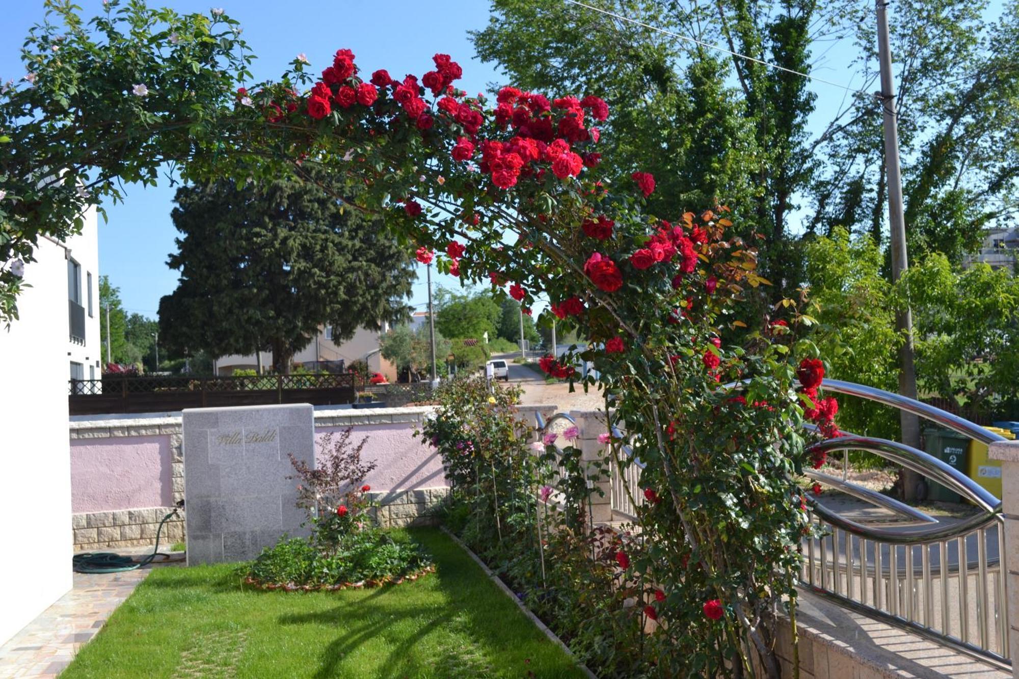 Villa Baldi -Apartmani Danny Тар Экстерьер фото